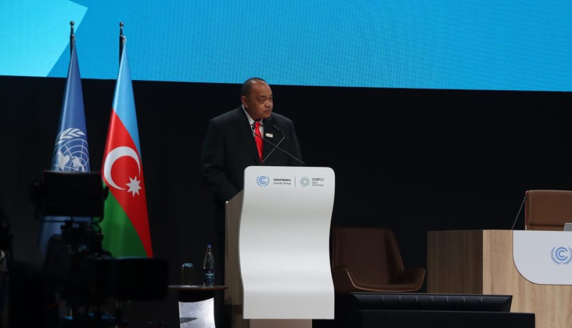 Hon. Hu'akavameiluku delivered the statement of Tonga