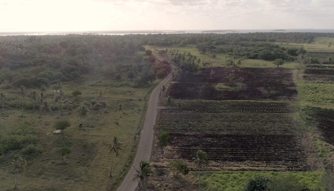 Navutoka Talafo’ou evacuation roads